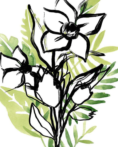 Tropical Sketchbook III White Modern Wood Framed Art Print with Double Matting by Vess, June Erica