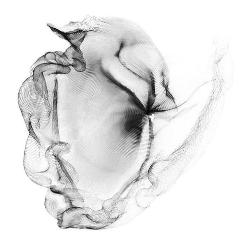 Veiled Illusions III White Modern Wood Framed Art Print by Curinga, Kim