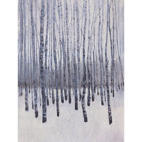 Bare Trees in Winter II Black Modern Wood Framed Art Print with Double Matting by OToole, Tim