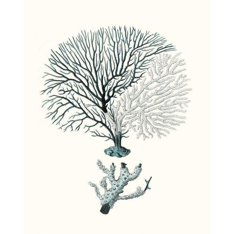 Antique Coastal Coral III Black Modern Wood Framed Art Print by Esper, Johann