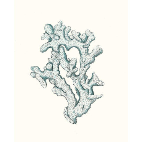 Antique Coastal Coral IV White Modern Wood Framed Art Print by Esper, Johann