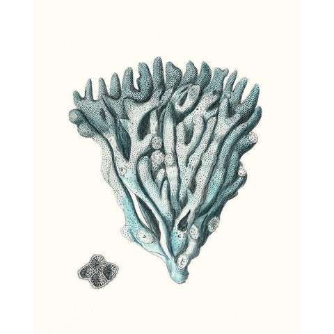 Antique Coastal Coral X White Modern Wood Framed Art Print by Esper, Johann