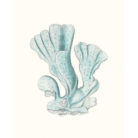 Antique Coastal Coral XI White Modern Wood Framed Art Print by Esper, Johann