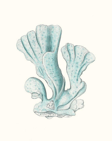 Antique Coastal Coral XI White Modern Wood Framed Art Print with Double Matting by Esper, Johann