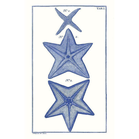 Blue Sea Stars II Gold Ornate Wood Framed Art Print with Double Matting by Vision Studio