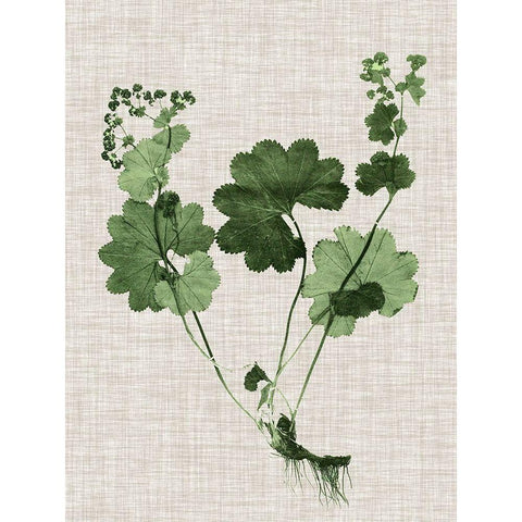 Forest Foliage on Linen I White Modern Wood Framed Art Print by Vision Studio