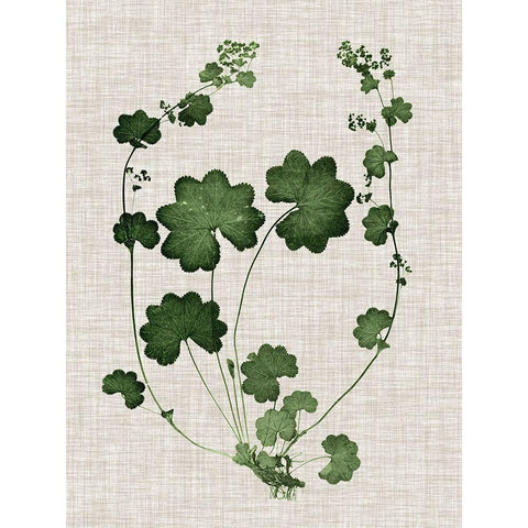 Forest Foliage on Linen II White Modern Wood Framed Art Print by Vision Studio