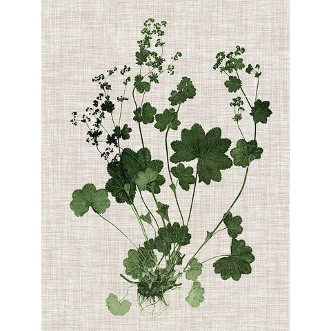 Forest Foliage on Linen III Black Modern Wood Framed Art Print with Double Matting by Vision Studio