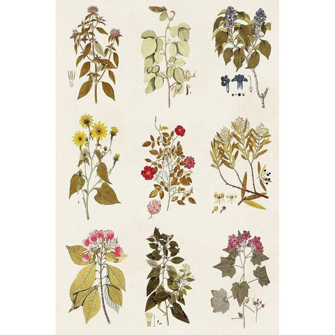 Antique Floral Grid I Black Modern Wood Framed Art Print by Vision Studio