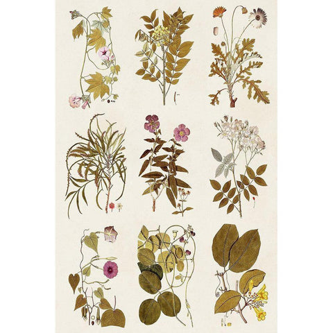 Antique Floral Grid II White Modern Wood Framed Art Print by Vision Studio