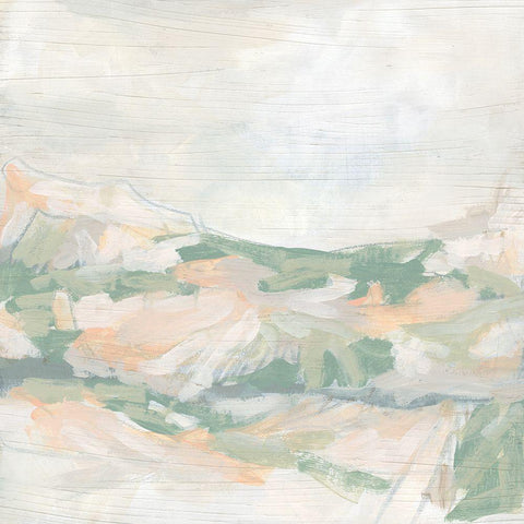 Coral Canyon I Black Ornate Wood Framed Art Print with Double Matting by Vess, June Erica