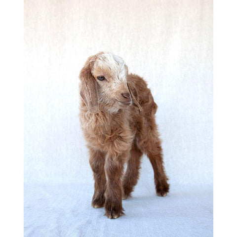 Friday Black Modern Wood Framed Art Print with Double Matting by Soderman, Tania