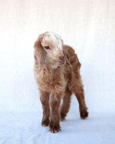 Friday White Modern Wood Framed Art Print with Double Matting by Soderman, Tania