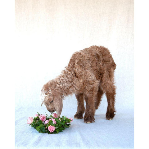 Friday Smelling Roses Gold Ornate Wood Framed Art Print with Double Matting by Soderman, Tania