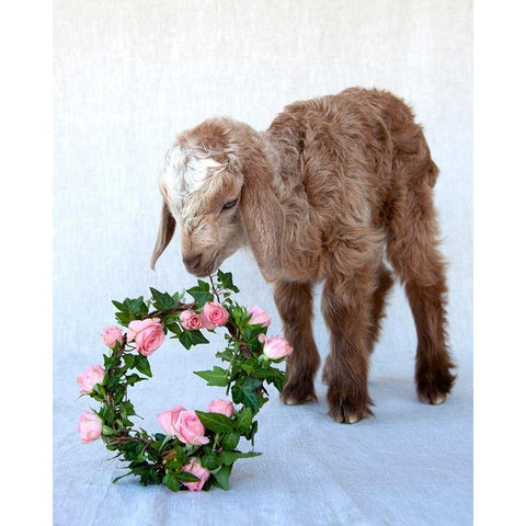 Friday Eating Wreath White Modern Wood Framed Art Print by Soderman, Tania