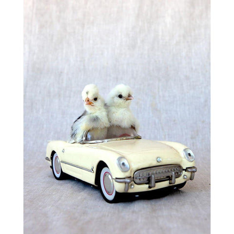 Chicks in Cream Car II White Modern Wood Framed Art Print by Soderman, Tania
