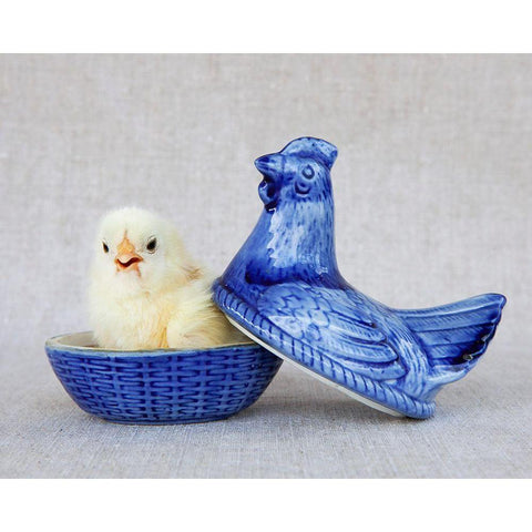 Chick in Blue Hen Black Modern Wood Framed Art Print with Double Matting by Soderman, Tania