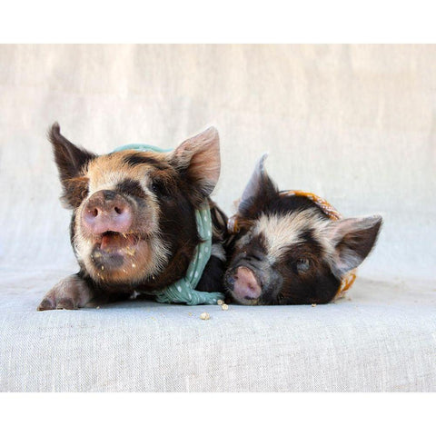 Fiona And Ferdinand I Gold Ornate Wood Framed Art Print with Double Matting by Soderman, Tania