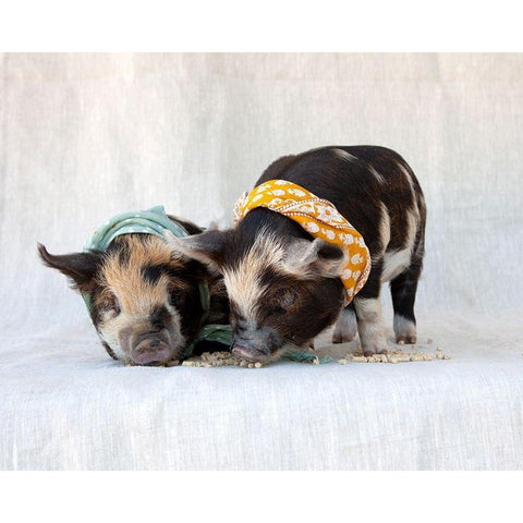 Fiona And Ferdinand IV Black Modern Wood Framed Art Print with Double Matting by Soderman, Tania