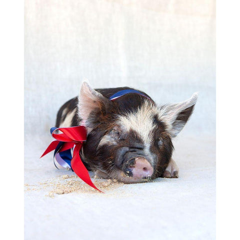 Fiona with Ribbon Black Modern Wood Framed Art Print with Double Matting by Soderman, Tania