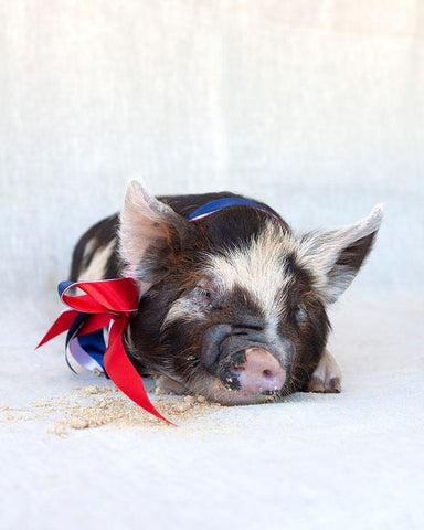 Fiona with Ribbon Black Ornate Wood Framed Art Print with Double Matting by Soderman, Tania