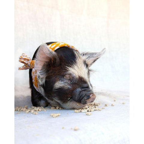 Fiona with Scarf Gold Ornate Wood Framed Art Print with Double Matting by Soderman, Tania