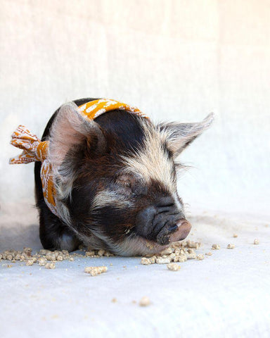 Fiona with Scarf White Modern Wood Framed Art Print with Double Matting by Soderman, Tania