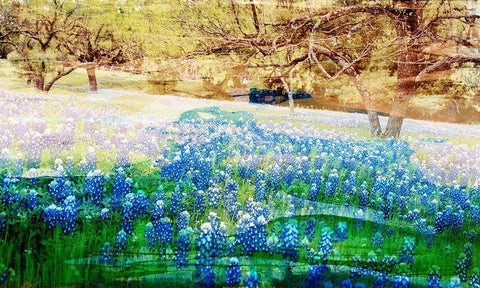 Blue Bonnet Field White Modern Wood Framed Art Print with Double Matting by Jasper, Sisa
