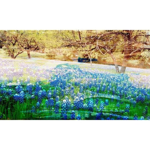 Blue Bonnet Field Gold Ornate Wood Framed Art Print with Double Matting by Jasper, Sisa