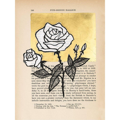 Floral Diary II Black Modern Wood Framed Art Print with Double Matting by Lam, Vanna