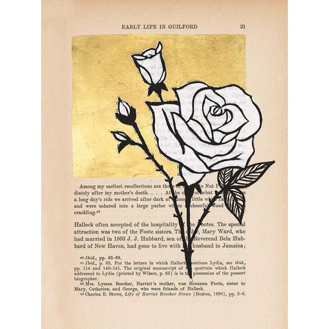 Floral Diary III Gold Ornate Wood Framed Art Print with Double Matting by Lam, Vanna