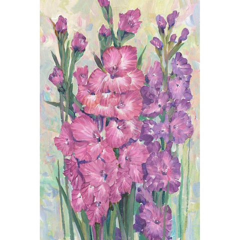 Gladiolas Blooming I Gold Ornate Wood Framed Art Print with Double Matting by OToole, Tim