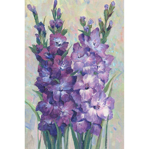 Gladiolas Blooming II Gold Ornate Wood Framed Art Print with Double Matting by OToole, Tim