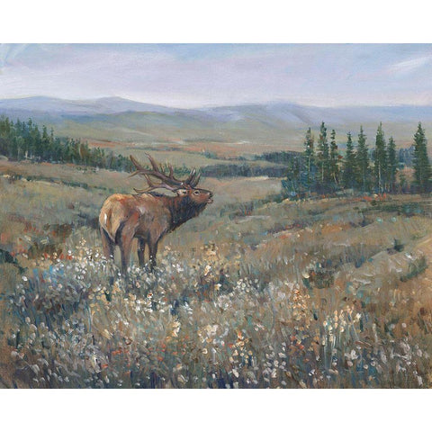 Western Wildlife I White Modern Wood Framed Art Print by OToole, Tim