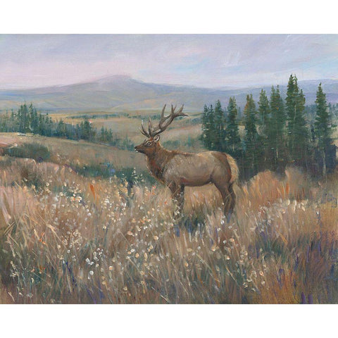 Western Wildlife II Gold Ornate Wood Framed Art Print with Double Matting by OToole, Tim