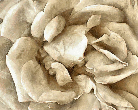 Neutral Wall Flower II Black Ornate Wood Framed Art Print with Double Matting by Saunders, Alonzo