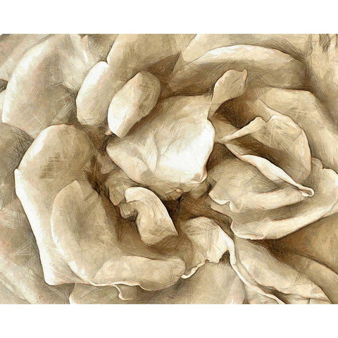 Neutral Wall Flower II White Modern Wood Framed Art Print by Saunders, Alonzo