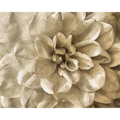 Neutral Wall Flower III Black Modern Wood Framed Art Print with Double Matting by Saunders, Alonzo