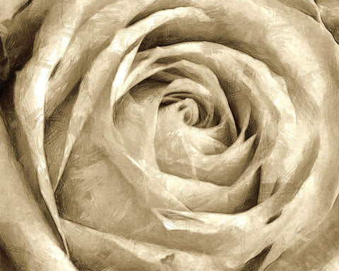 Neutral Wall Flower IV White Modern Wood Framed Art Print with Double Matting by Saunders, Alonzo