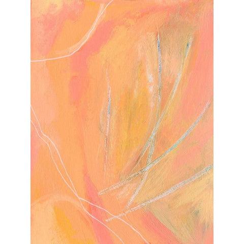 Peach Bliss II Black Modern Wood Framed Art Print with Double Matting by Moore, Regina