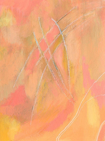 Peach Bliss IV White Modern Wood Framed Art Print with Double Matting by Moore, Regina