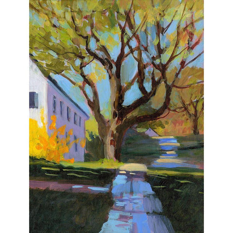 Spring in New England Black Modern Wood Framed Art Print by Sweetwater