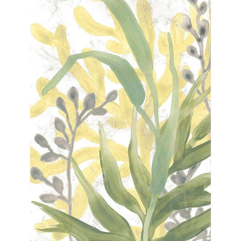 Sea Grass Fresco I White Modern Wood Framed Art Print by Vess, June Erica