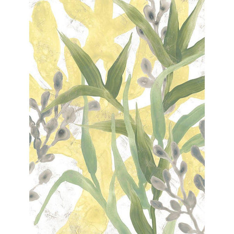 Sea Grass Fresco III Black Modern Wood Framed Art Print with Double Matting by Vess, June Erica