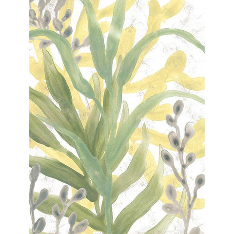 Sea Grass Fresco IV Black Modern Wood Framed Art Print by Vess, June Erica