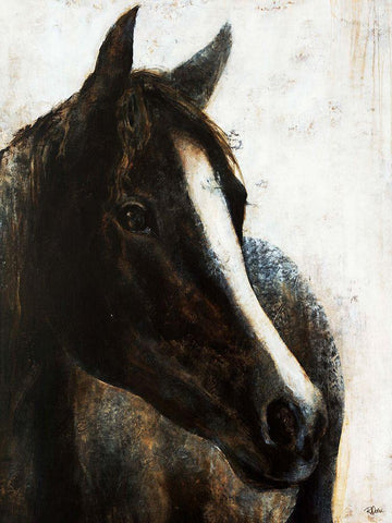 Brown Stallion White Modern Wood Framed Art Print with Double Matting by Drotar, Rikki