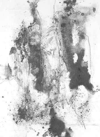 Graphite Abstract III Black Ornate Wood Framed Art Print with Double Matting by Willett, Michael