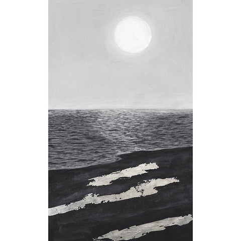 Silver Shoreline I Black Modern Wood Framed Art Print with Double Matting by Willett, Michael