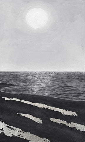 Silver Shoreline II White Modern Wood Framed Art Print with Double Matting by Willett, Michael