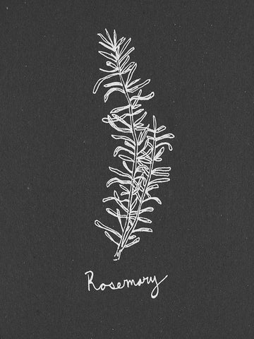 Scent Garden I Black Ornate Wood Framed Art Print with Double Matting by Sizemore, Natalie